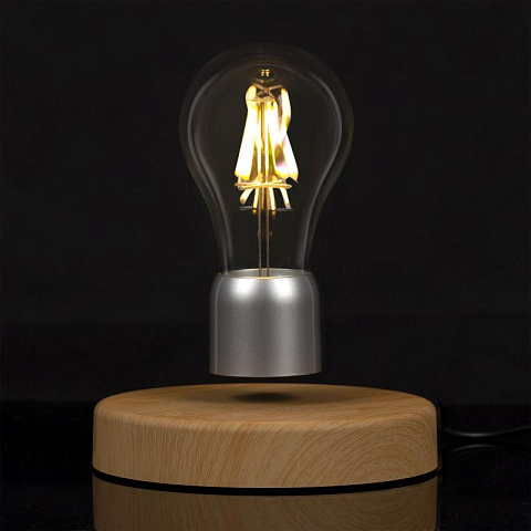 Левитирующая лампочка - рис 2.